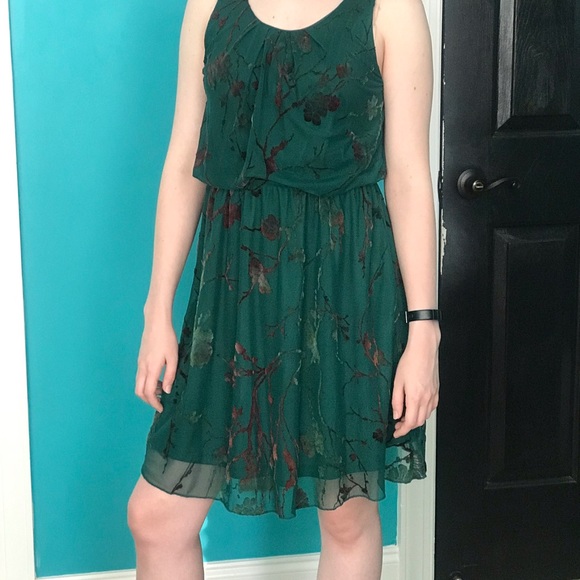 Lizard Thicket Green Dress with Velvet-feel Floral Appliqués. - Picture 1 of 9